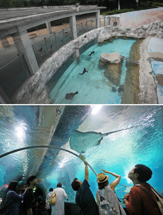 전국적으로 폭염이 계속된 25일 오후 서울 광진구 어린이대공원은 한산한 모습(위 사진)을 보였지만, 비슷한 시각 코엑스 아쿠아리움은(아래 사진) 붐비고 있다.